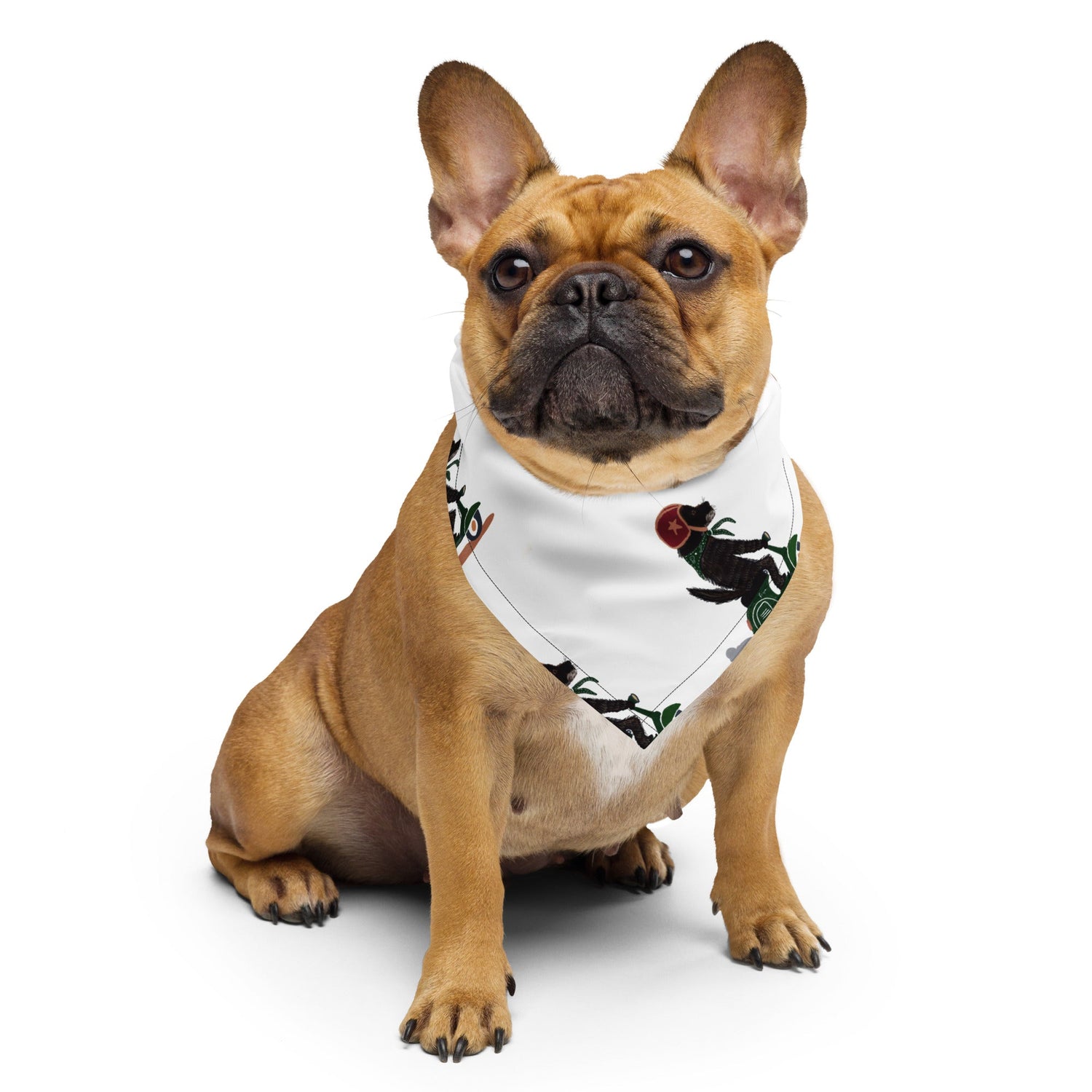For pet lovers